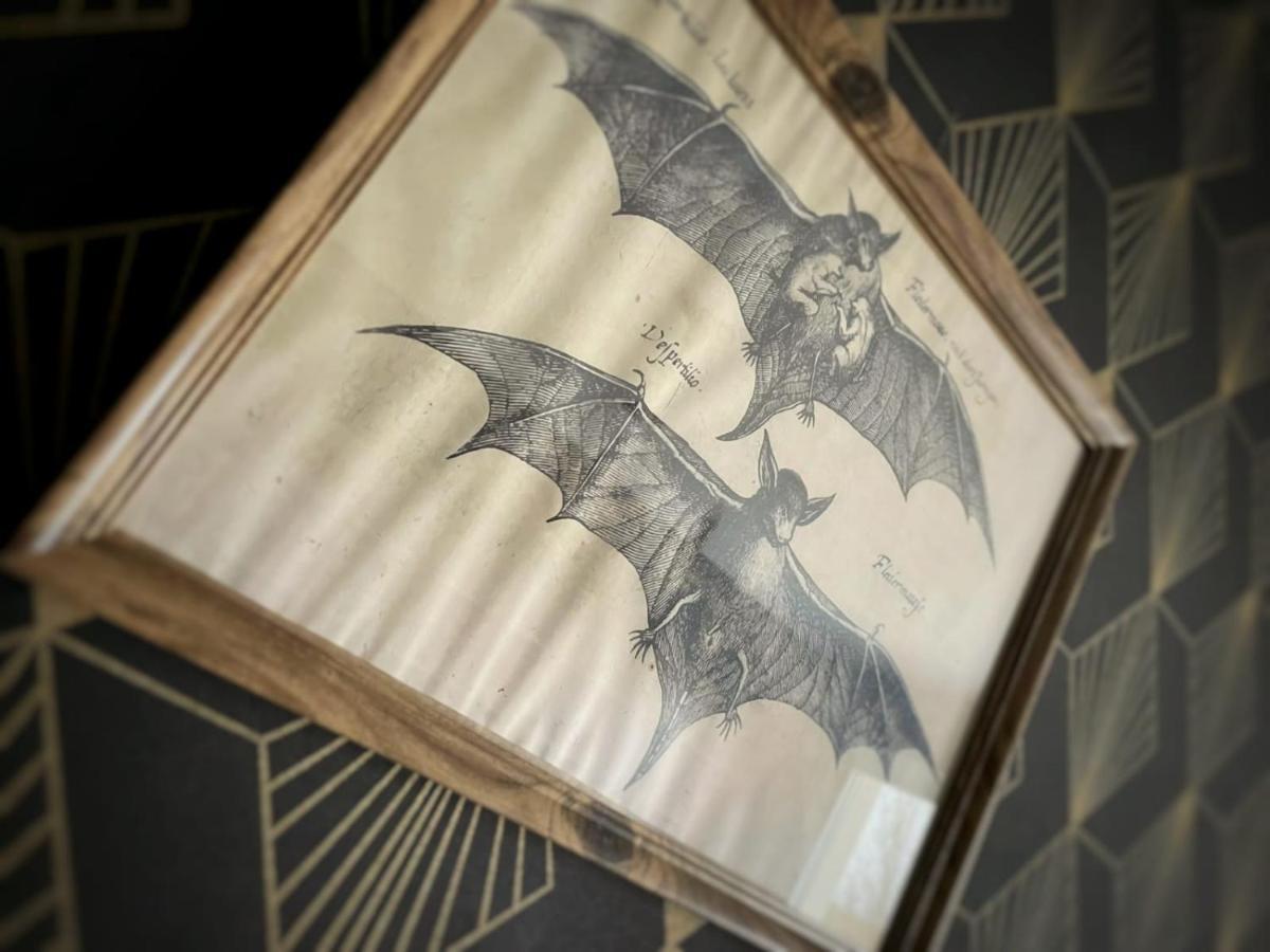 New - Bat'Appart - Dijon - Insolite Лонвик Экстерьер фото